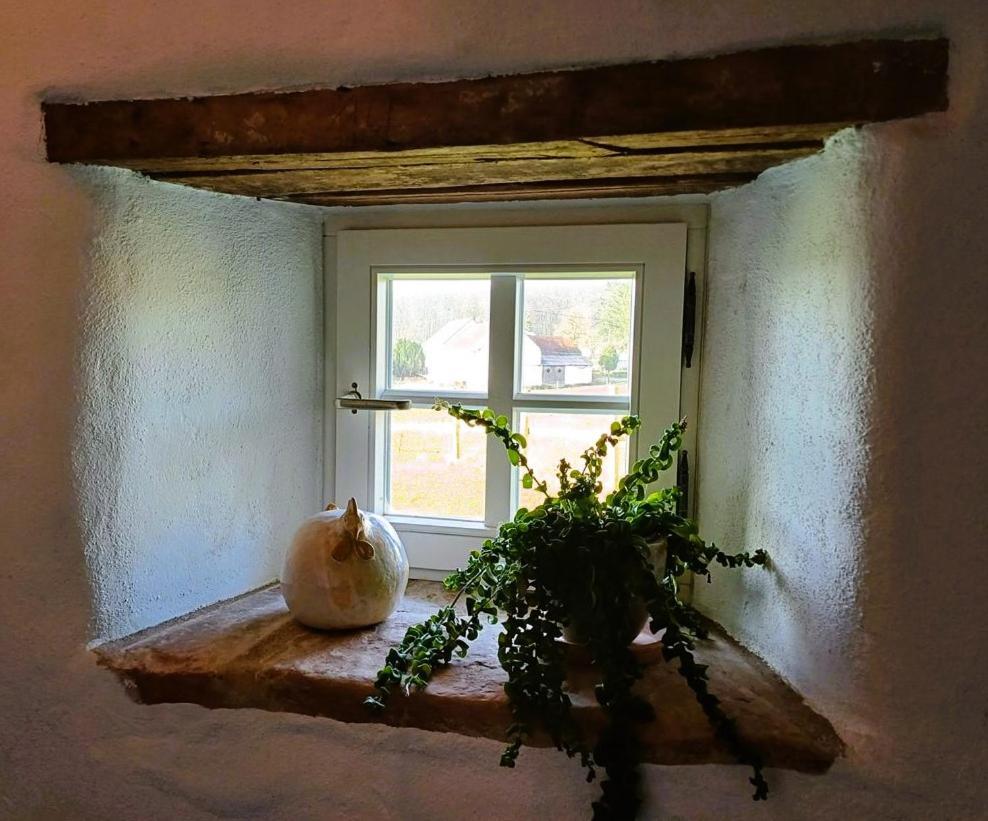 Ferienhaus "Entenhaus" Im Gutshaus De La Fontaine Feilsdorf Exteriör bild